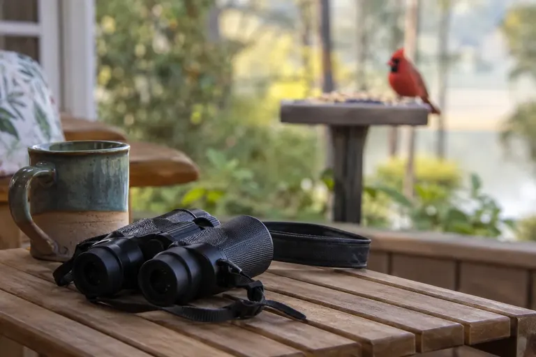 Small binoculars on a harness strap resting on a porch table next to a cup of coffee and a window view of a cardinal at a feeder (AI illustration)
