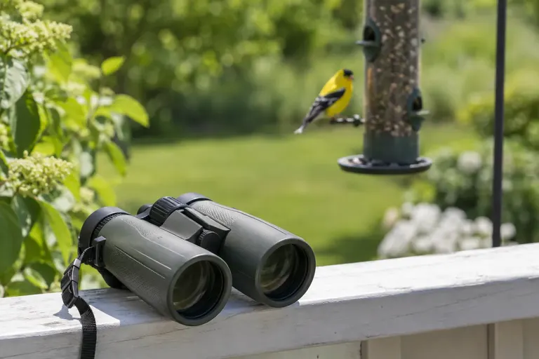 Green binoculars on a porch railing overlooking a backyard feeder with a goldfinch (AI illustration)