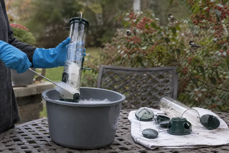 Gloved hands scrubbing an empty tube bird feeder with a brush in a bucket outdoors (AI illustration)