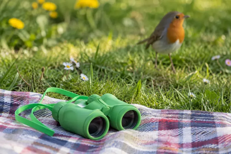 Kinderfernglas auf einer Picknickdecke im Garten, dahinter ein Vogel mit orangefarbener Brust auf dem Rasen (KI-Illustration)