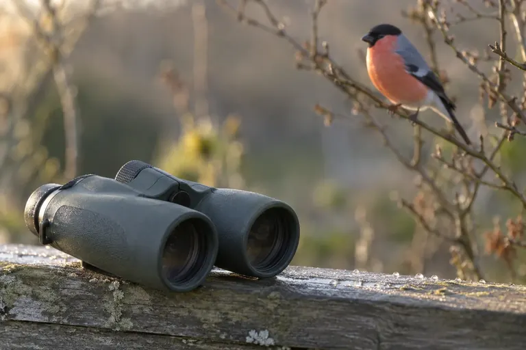 Schwarzes Dachkantfernglas auf einem verwitterten Holzzaun, dahinter unscharf ein Singvogel auf einem Zweig (KI-Illustration)