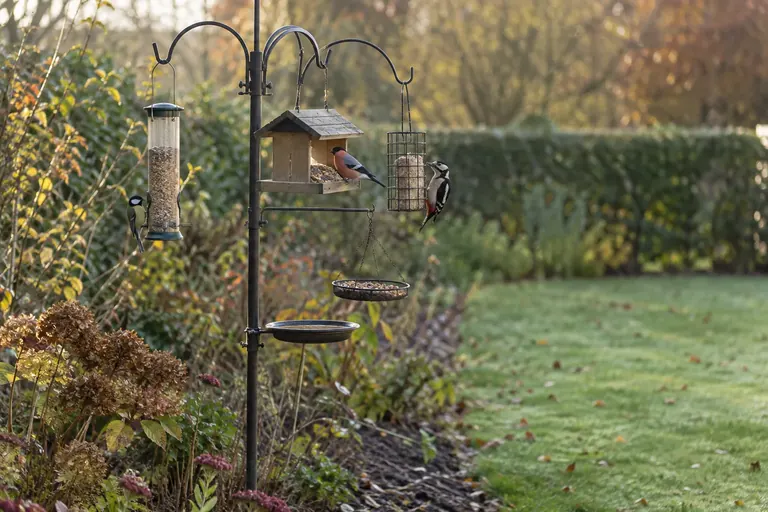 Schwarze Vogelfutterstation aus Stahl mit mehreren Armen in einem Gartenbeet, daran eine Futtersäule, ein Futterhaus, ein Meisenknödelhalter und eine kleine Wasserschale, Singvögel auf den Armen (KI-Illustration)