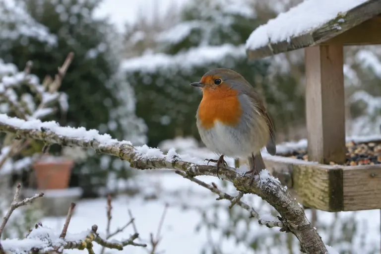 Un petit oiseau aux plumes gonflées perché sur une branche enneigée près d'une mangeoire en hiver (illustration IA)