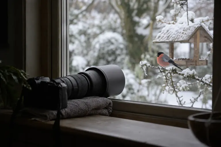 Een camera met een lange telelens op een vensterbank, door het glas gericht op een zangvogel op een tak buiten (AI-illustratie)