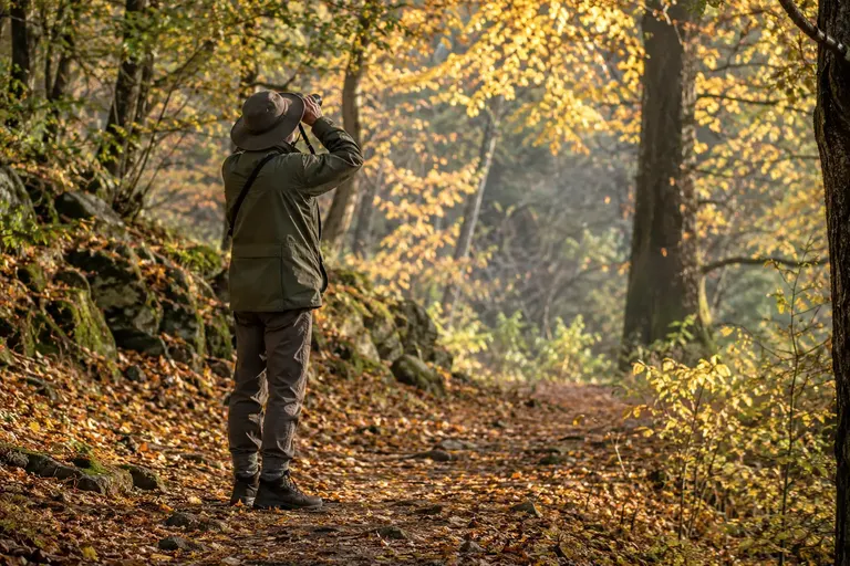 A birder in muted green and brown layers with binoculars standing on a quiet woodland trail in autumn (AI illustration)