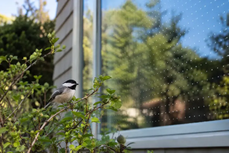 A house window seen from the garden with a grid of small white dots applied to the outside of the glass and shrubs reflected behind them (AI illustration)