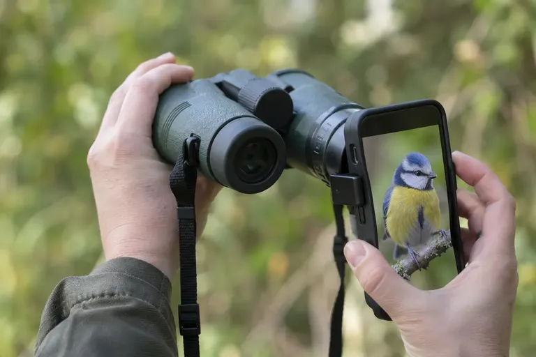 A smartphone held against the eyepiece of a pair of binoculars, its screen showing a magnified bird on a branch (AI illustration)