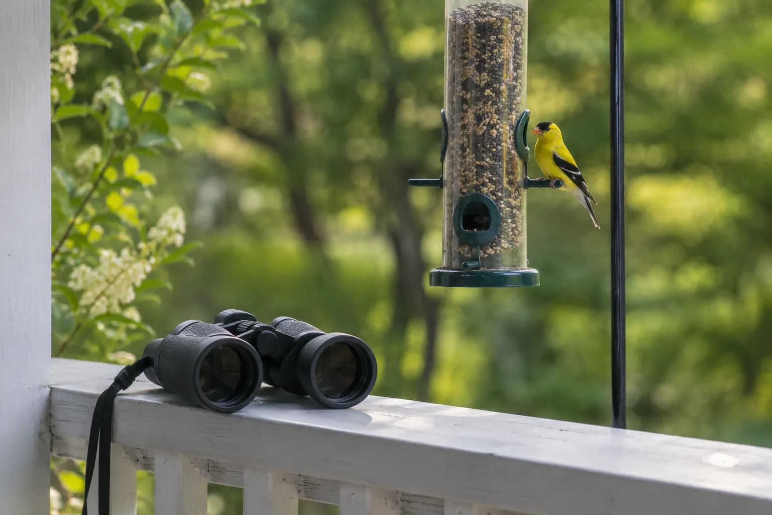 Compact black binoculars on a porch railing beside a tube feeder with an American Goldfinch perched on it (AI illustration)