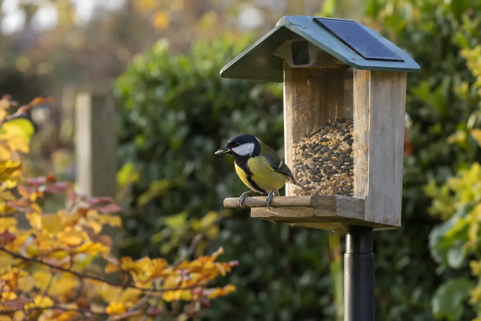 Smartes Vogelfutterhaus mit Kamera auf einem Pfahl im Garten, eine Meise sitzt vor der Linse (KI-Illustration)